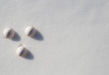 How to Collect and Store Eggs in Freezing Temperatures