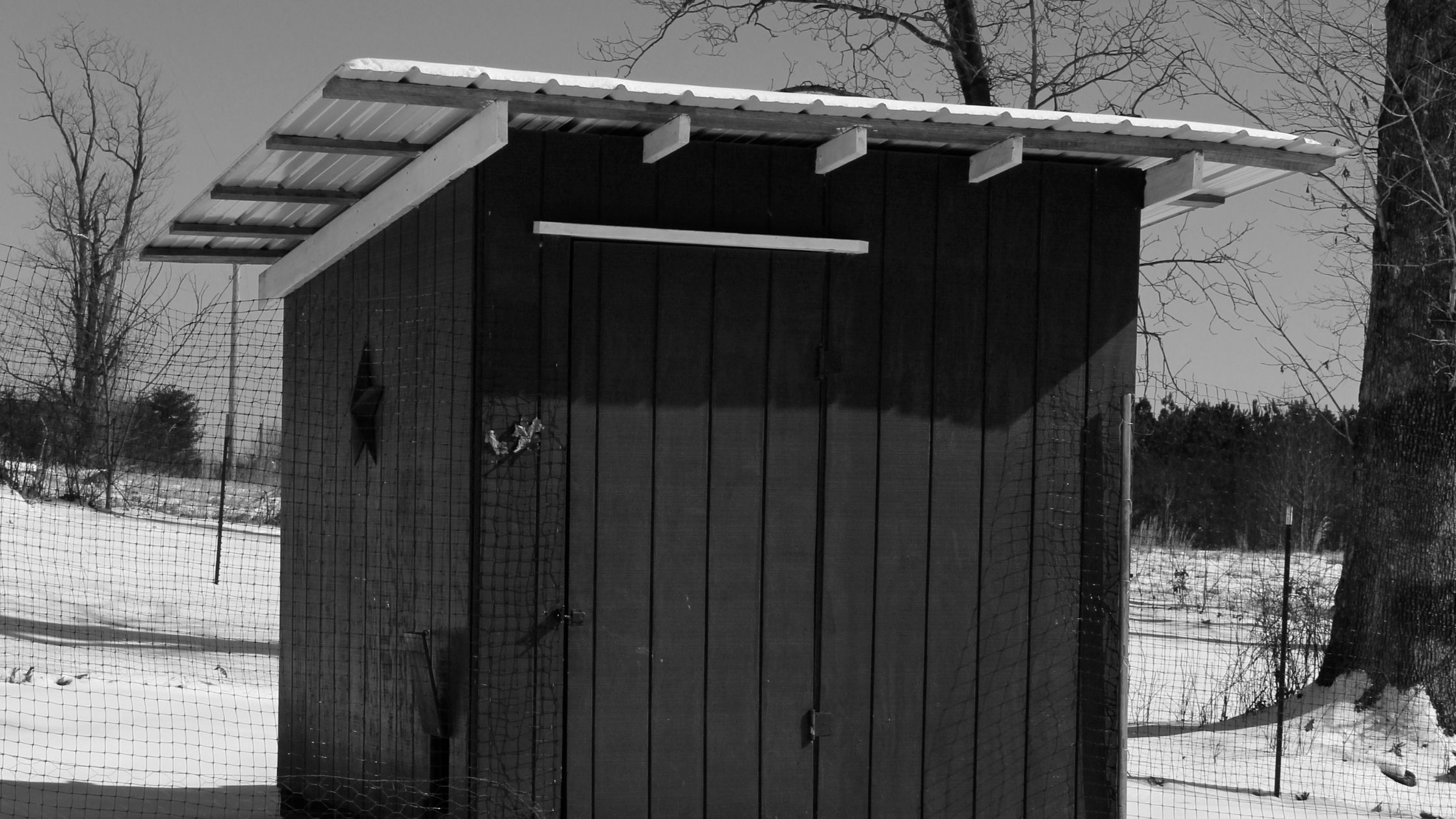 How to Keep the Coop Safe From Snow and Ice Damage - Colin Can Help Library